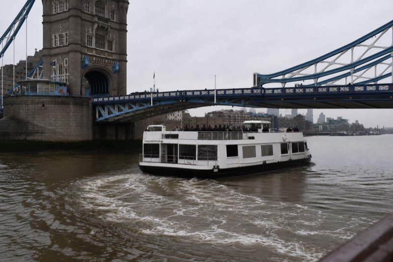Tower Bridge Circular Cruise from Westminster