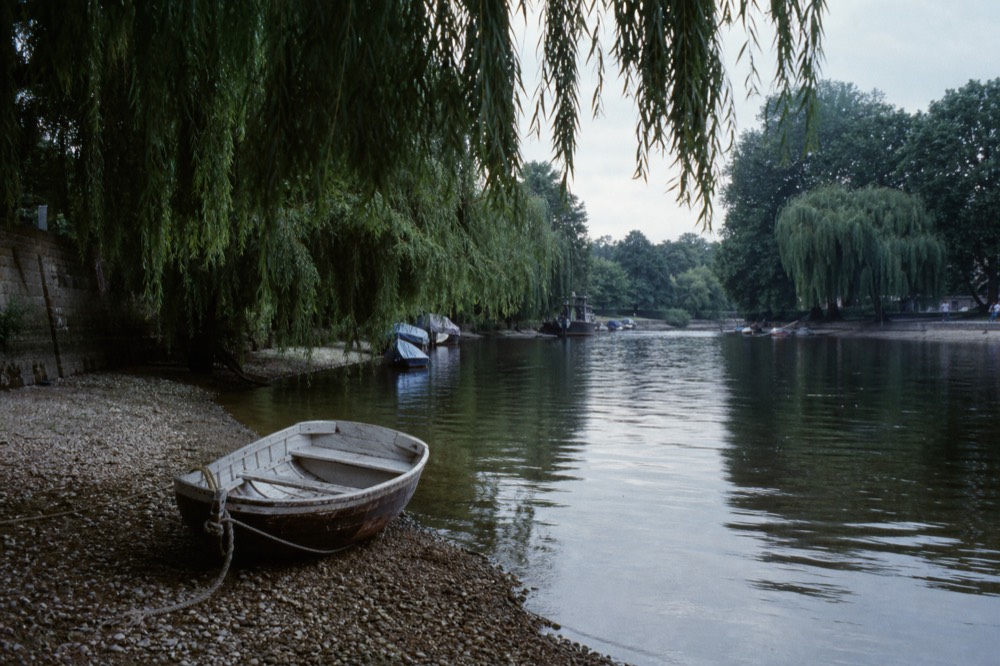 A calm green upriver reach of the Thames on a summer afternoon, willows leaning over the bank, a small rowing boat drawn up on shingle