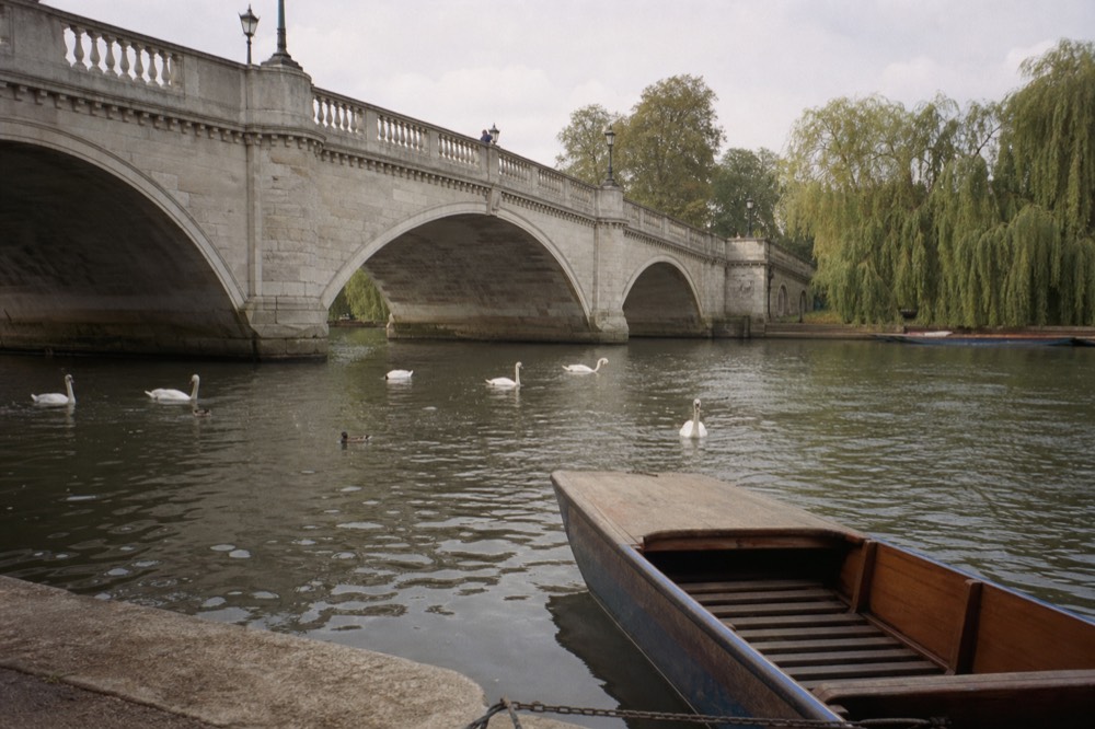 A pale stone road bridge arching over green river water with swans on the surface, willows on the far bank and a moored punt in the foreground