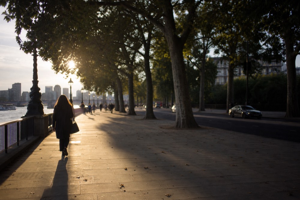 The riverside walkway on the South Bank on a clear afternoon, plane trees along the railing and the river wide beyond