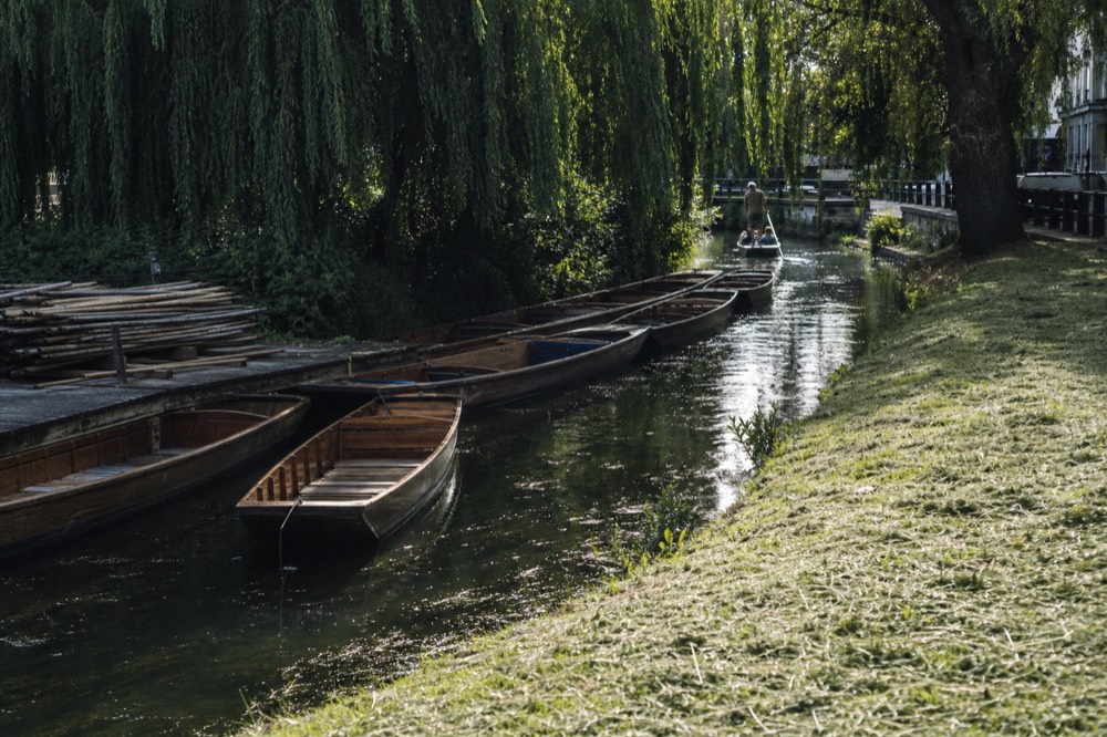 Wooden punts moored in a line on narrow green water beside a mown meadow bank, poles stacked on a wooden staging under willows