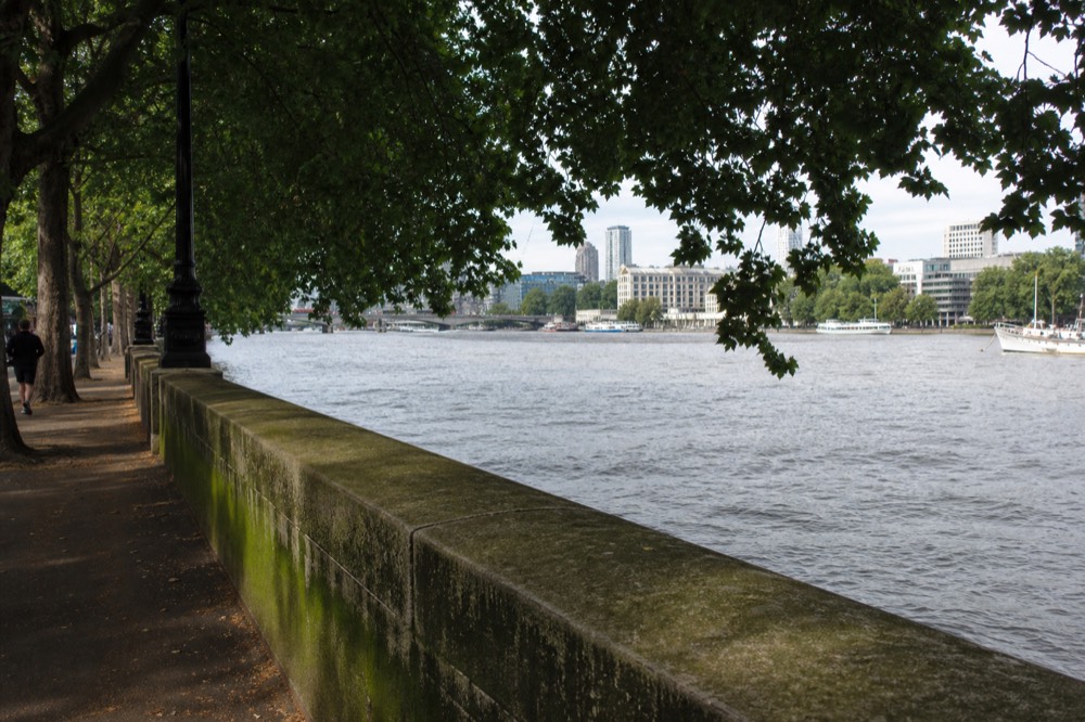 A granite embankment wall with visible tide marks and green weed above the waterline, a wide river and city buildings beyond